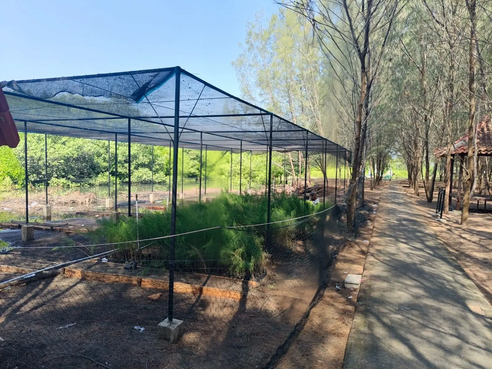 Nursery 1
